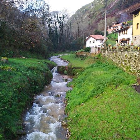 El Rinconin De Degu Villa San Juan de Parres Exteriör bild